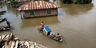 Flood renders 1,000 homeless in Anambra | National Light