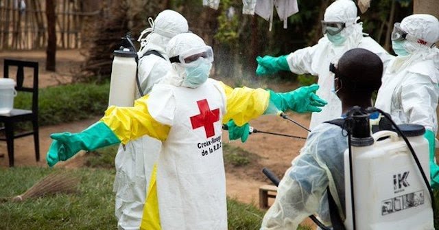 France Confirms First Ebola Virus Case