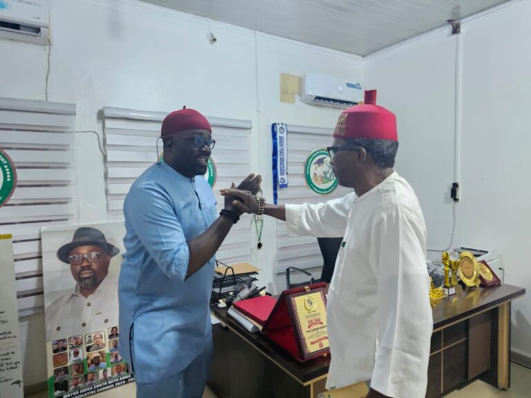 Mefor Seeks LG Mayors’ Partnership To Drive Soludo’s Value Reformation Agenda, Calls For Synergy On Signage, Sanitation, Taxation