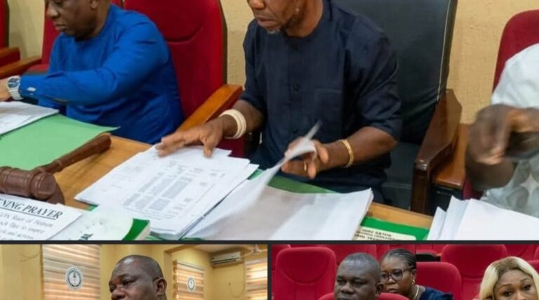Anambra Govt. Unveils 10 Year Agriculture Strategy to Transform Sector